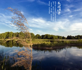 新義水鄉(xiāng)中醫(yī)藥浴康養(yǎng)、黃龍溪古鎮(zhèn)二日游