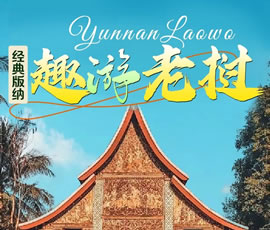 【趣游老撾 · 經(jīng)典版納】—昆明、普洱、西雙版納、磨丁、瑯勃拉邦四動8日游